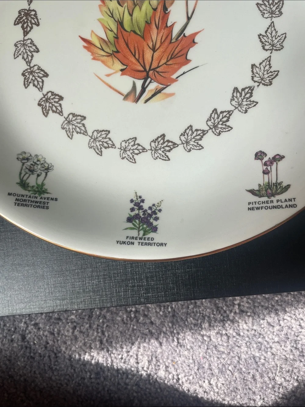 Vintage Alfred Meakin Souvenir Canada Plate Wild Flowers Gold Rim